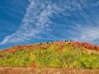 USA-Utah-Logan Canyon Colorful aspens in autumn Art Print